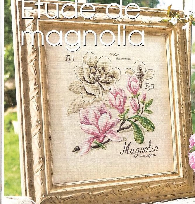 Схема вышивки Dfea: Magnolia