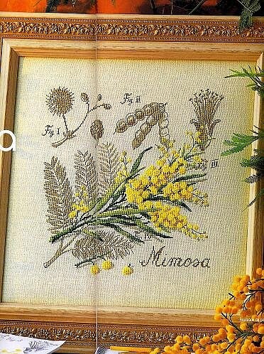 Схема вышивки Dfea: Mimosa